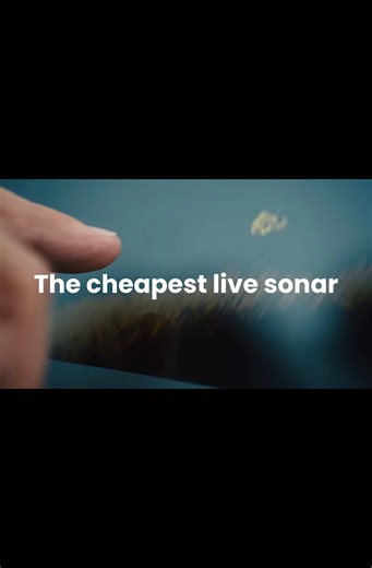 Exploring the Cheapest Live Sonar Solutions for Fishing