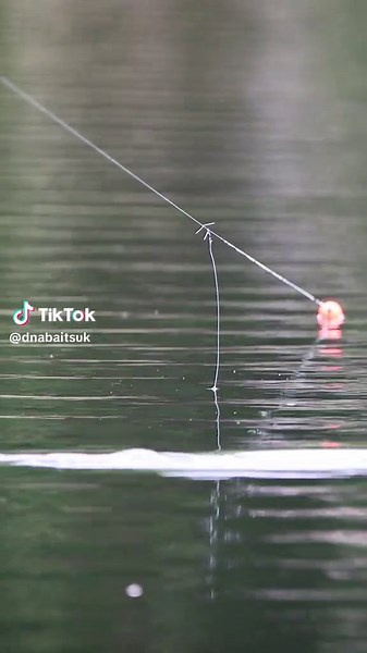 Master the Beachcaster Method for Surface Fishing