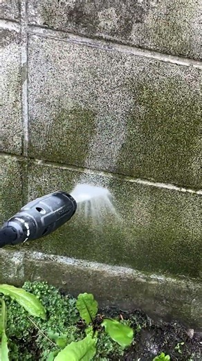 ケルヒャー高圧洗浄機K2サイレントでブロック塀の苔を掃除