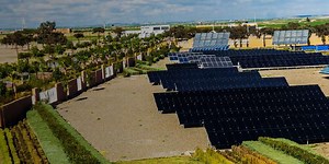 Groupe OCP : un cas d’école