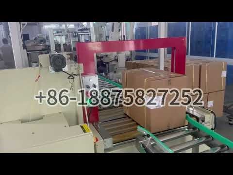 All in One Case Packer with ABB Robotic