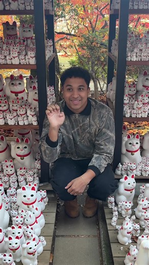 Imagine if we would have bought the massive cat statue on accident 💀 #japan #vlog #comewithme #gotokujitemple