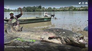 Man catches what may be biggest catfish ever reeled in