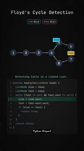Floyd’s Cycle Detection Explained 🔥 | Fast & Slow Pointer Algorithm #coding #programming #developer