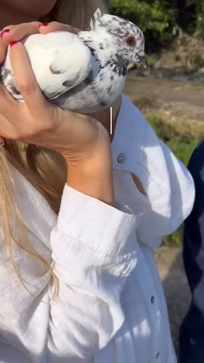 There are journeys you plan… and then there are journeys that call you. Deep in Java’s sacred heart, ancient temples hum with chants of devotion. Here, Mariliis invites you into a rare, private experience guided by Master Joko - a revered mystic whose sessions are closed to the public and sought by seekers worldwide. Across three journeys - 7, 4, or 3 days - you’ll step into spaces rarely opened to outsiders. 🌿 You’ll experience: •⁠ ⁠Private 1:1 sessions with Master Joko •⁠ ⁠Ancient purificatio