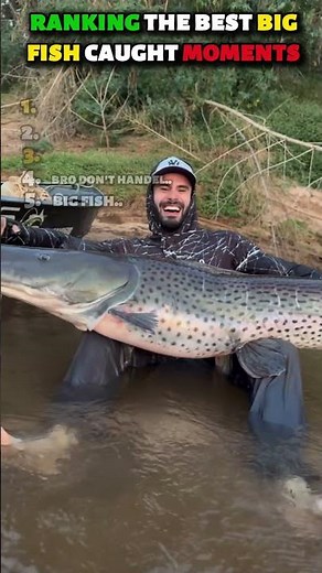 Ranking 5 MASSIVE Fish Ever Caught On Camera! 😱🏆🎣 #FishingFails #Viral