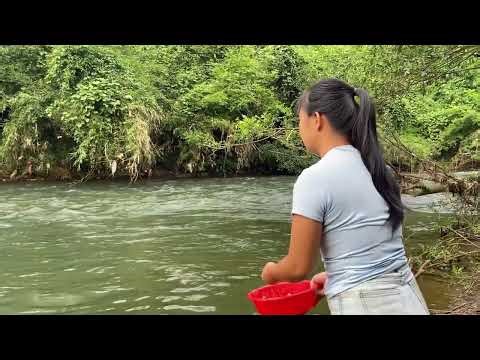 TOP VIDEOS: Ancient traditional fishing method using nets.Tran sporting fish to the market for sale.