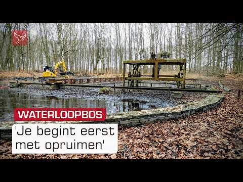 Boswachter haalt haven van IJmuiden onder de modder vandaan | Omroep Flevoland