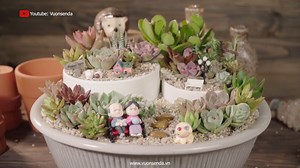 1M views · 21K reactions | Some beautiful ideas for your succulent garden <3 ---------------------- Subscribe my Youtube channel for more: youtu.be/lDlN2CQrS8o | Succulents | Facebook