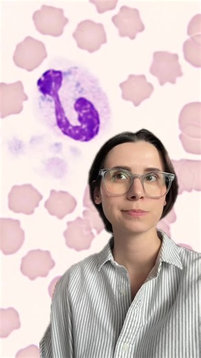 Just white cell diff things #clinpath #clinicalpathology #vetmed #resident #vetpath #veterinarymedicine #pathology #cytology #vetstudent #vettech #prevet #vetassistant #vettok #microscope #resident #residency #medtech #hematology #cbc #neutrophil