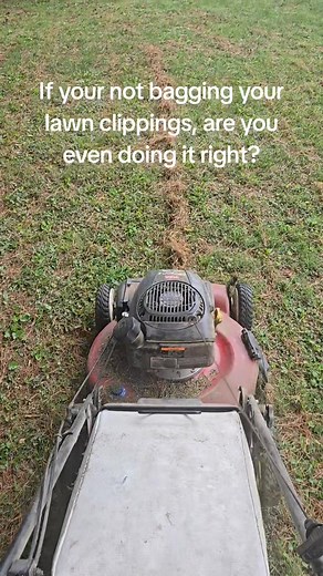 I dont always bag my lawn but today was an exception. It was super high in the front and had to mow it twice which ultimately left massive piles everywhere which i went back and bagged both front and back yard. Does anyone else bag everytime they mow or never bag it or once in a great while like me? #lawn #lawncare #grass #cuttinggrass #mowing | Shawn M. Beck | Facebook