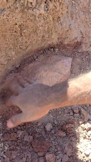 23K views · 469 reactions | Watch until the end to see the clean up of the largest scepter quartz crystal you have ever seen! 勞 #colorado #rockymountains #summer #hiking #crystals #geology #mining #prospecting #outdoors #minerals #mountainlife #explore | Colorado Geology | Facebook