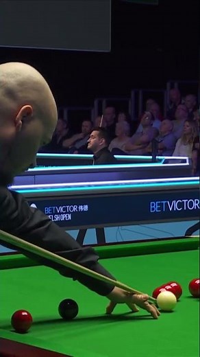 When a fly interrupts your snooker match 😅🪰