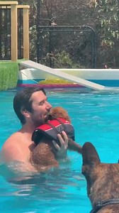 79K views · 5.5K reactions | Today we welcomed Hallie the Cavoodle...