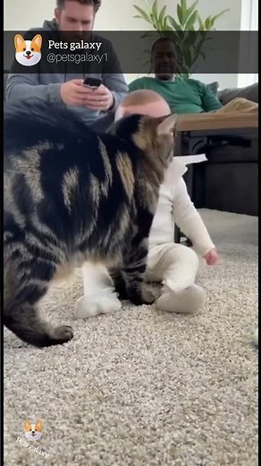 Cat Comforts Crying Baby in the Sweetest Way 🐱❤️ | Real 4K Home Footage That’ll Melt Your Heart