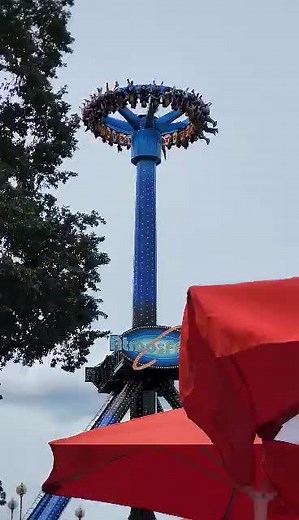 Doctor Drift The Whip on TikTok