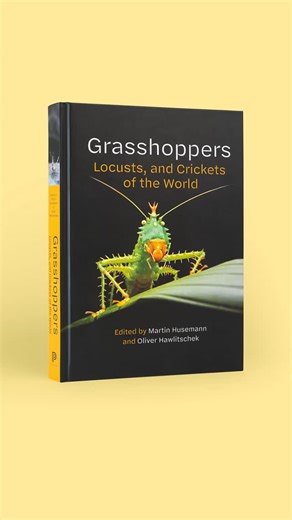 Princeton Nature on Instagram: "A highly illustrated and authoritative introduction to the world’s Orthoptera.⁠ ⁠ Grasshoppers, Locusts, and Crickets of the World by Martin Husemann and Oliver Hawlitschek is now available worldwide. Order yours at the #LinkInBio!⁠ ⁠ Grasshoppers, locusts, crickets, bush crickets, and katydids make up the order of insects known as Orthoptera. Although there are about 30,000 species of Orthoptera around the world, many people pay little attention to them and even 
