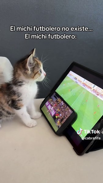 Partidos de fútbol con Nalita y su gato