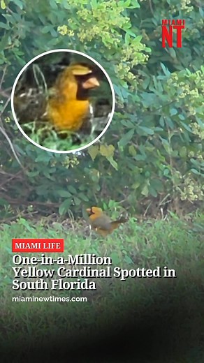 725K views · 35K reactions | ...