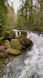 11K views · 72 reactions | Whatcom Falls, WA #whatcomfalls #bellinghamwashington #pnwwaterfalls #chasingwaterfalls #lovewaterfalls | Pinaykano Pinaykano | Facebook