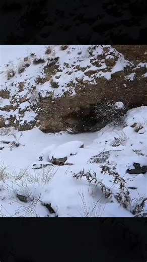 Primitive Winter Shelter Building in Blizzard Conditions