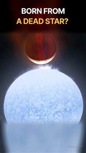 Could a Dead Star Create a New Planet Hubble's Clue