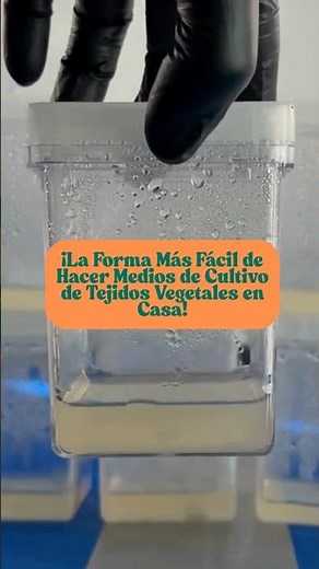 ¡La Forma Más Fácil de Hacer Medios de Cultivo de Tejidos Vegetales en Casa! #plantas #plants #fyp