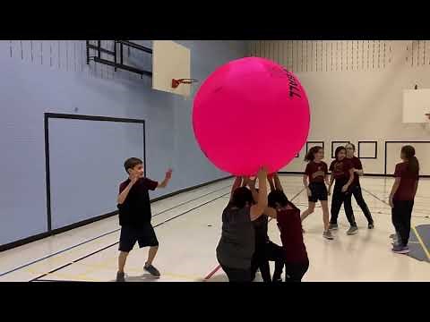 Kin Ball primaire - Activité midi primaire