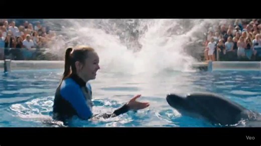 Jessica the Dolphin Incident: Shocking Attack Caught Live