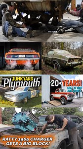 Top Cars of 2024 - What's your pick? | Dylan McCool on YouTube