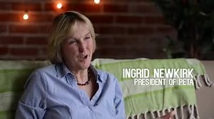 15K views · 670 reactions | Is #PETA a feminist organization? Our...