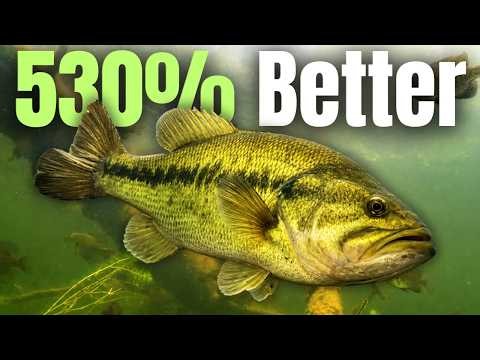 4 Bass Fishing “SECRETS” That Made Me 530% Better