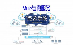 Mule与微服务04_Dataweave01 基本概念