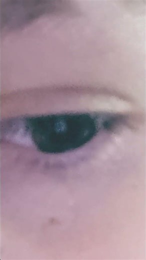 I was bored, but it lwk came out better than I expected #plaintext #myscript #hypertext