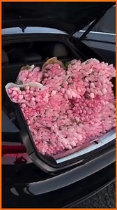 796K views · 3.4K reactions | Hypnotized | Angel Finesse | Facebook