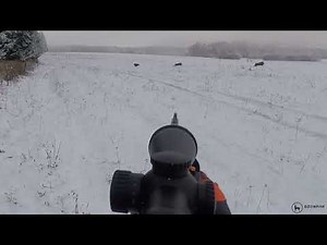 Wild Boar Driven Hunt in Western Bohemia (CZE) December 2021 with Blaser R8