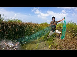 ANACONDA 🐍 model Craps Catching Trap🦀| New model Amazon fish traps | Venu Hunting Videos