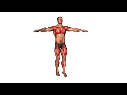 20-Min Beginner Full Body Workout | Low Impact, No Equipment