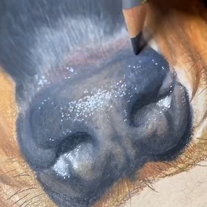 784K views · 56 reactions | Talented artist creates hyperrealistic drawings with added sound effects ✏️ | Yahoo | Facebook