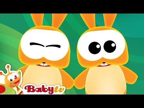 Animal Songs 🐒 🐶 | Nursery Rhymes and Songs for kids | ‪@BabyTV‬