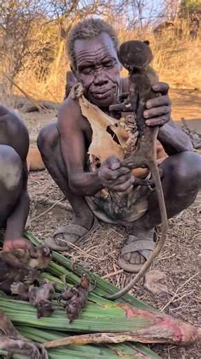 From the wild to the fire—no chemicals 🍃🔥😂 #africa #villagelife #wildlife