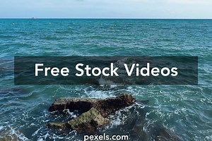 Svg Background Videos, Download The BEST Free 4k Stock Video Footage & Svg Background HD Video Clips