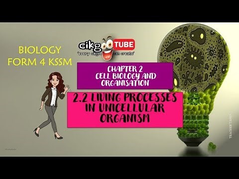 BIOLOGY KSSM FORM 4: 2.2 LIVING PROCESSES IN UNICELLULAR ORGANISM