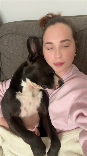 Understanding Pitbulls: Myths vs. Reality