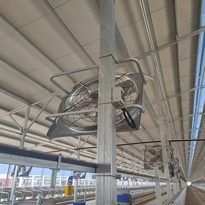 [Hot Item] Farm Ventilation Fans with Corrosion Resistance and a Service Life of More Than 10 Years