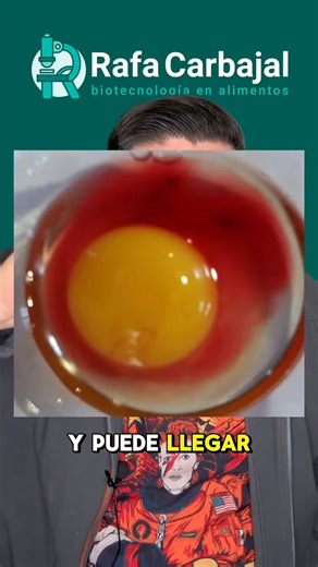 🍳 ¿por qué no se debe lavar el huevo? 🍳🍳 ¿se deben lavar los huevos? 🍳🍳🍳 ¿es buena idea comer huevos crudos? #ciencia #alimentos #huevos #rafacarbajal | Rafa Carbajal