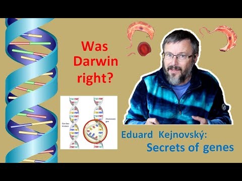 Was Darwin right? Are mutations random? (Secrets of Genes 9, EN Dub, CZ120)