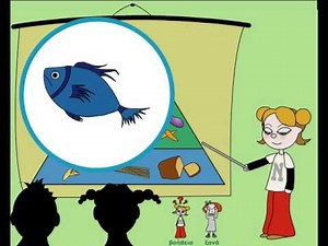 Η ΠΥΡΑΜΙΔΑ ΤΩΝ ΤΡΟΦΩΝ