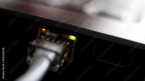 Connecting a computer to the Internet through a network cable, close-up. Local network, network card LAN