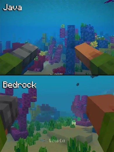 Minecraft Actions and Stuff Bedrock vs Java Part 13